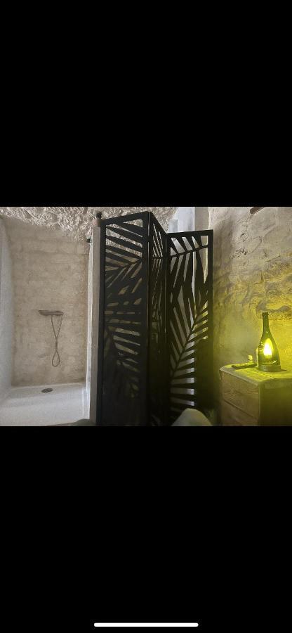 卡斯泰尔诺－蒙特拉蒂耶Voute Des Anges Type Loft Sans Cloison公寓 外观 照片